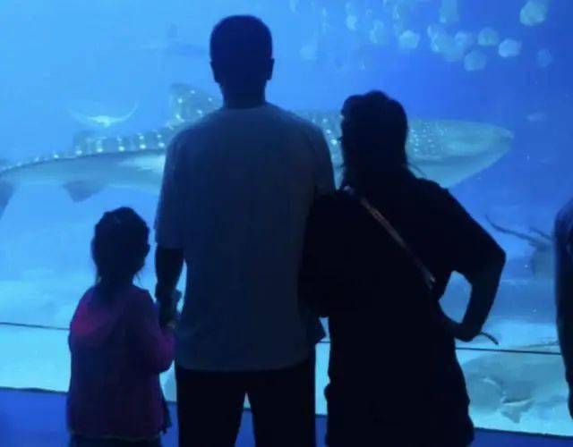 过往纠葛与命运交织：多重关系的映射