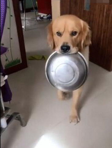 心理学家都是重口味