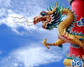 2026年属龙8月运势和1月财运具体如何？