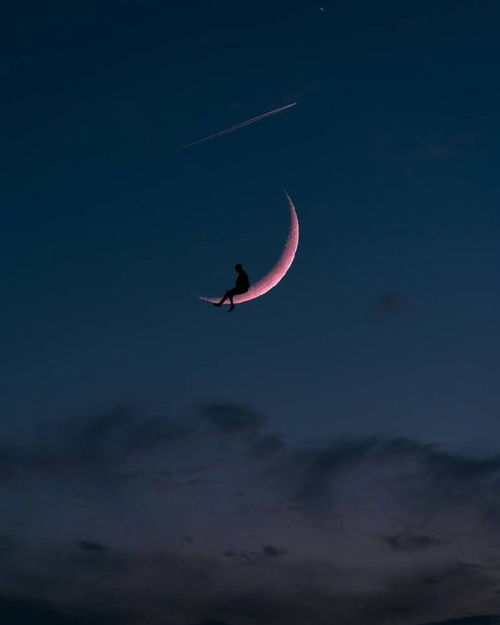 ：星象命名学与团队动力学的深度耦合