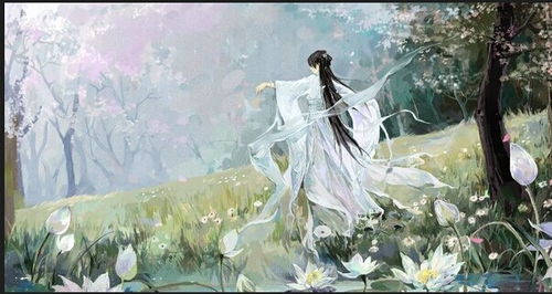 鼠年·白羊座：暮色笙箫·星火流年