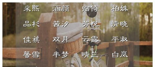 为啥诗词里的名字这么香？