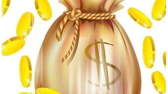 如何通过免费生辰八字算命和每日财运分析提升我的财运？