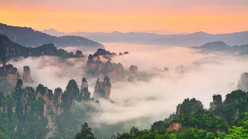 一、 香格里拉——高原草甸上乱飞的花瓣