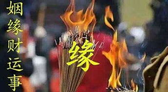 嫩出马的人八字命理中，双马奔朝八字特征有哪些？