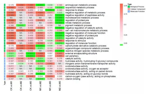 六爻测动物颜色吉凶详解，请问小猫颜色如何判断其吉凶？