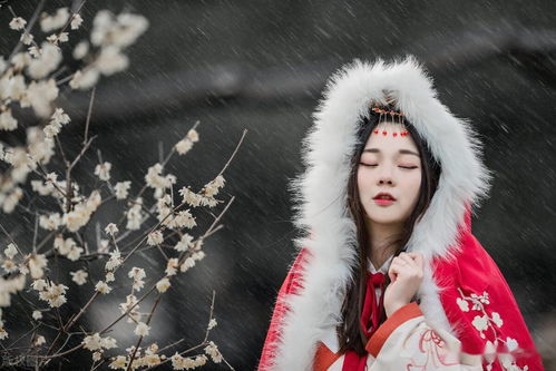《梦》字与森的交织：一场奇幻的命名之旅