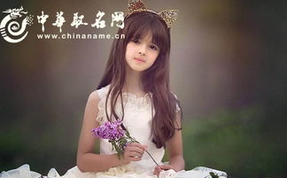 姓名与个人形象