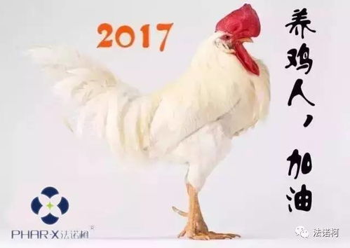 2. 古诗词借用