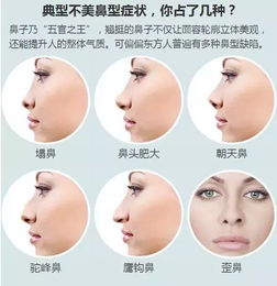 一、 探秘鼻型之谜：揭示人相学中十种主要鼻型的特征