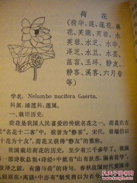 如何将培养名花自满林灵签改写为花灵签的长尾？