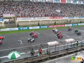 3. 赛车场的“刺激”观众席生存指南