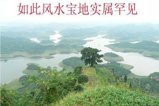 震惊！水库风水竟能改变2026年运势？看完这篇你绝对会尖叫！