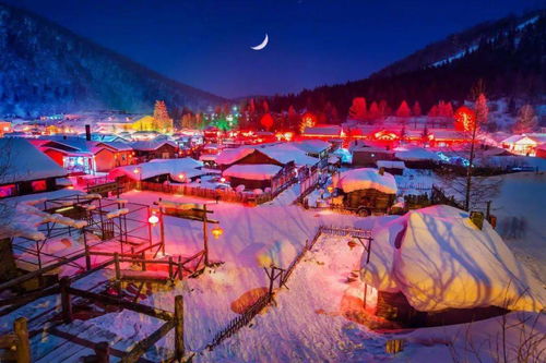 4. 冰灯节广场（灯光秀+电费账单）