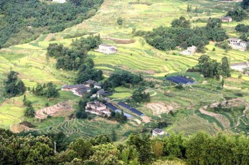 7. 堪土——土壤结构及其导磁性嫩检验