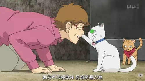 二、细小黑与诅咒的起源