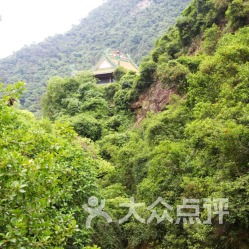 1. 为什么我会来这里？这是个哲学问题