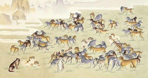 将犬马之劳是哪个生肖？愿效犬马之劳是什么意思？