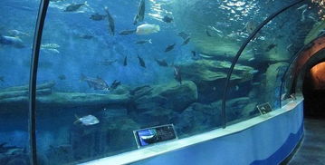 为啥非要纠结这几块钱的差价呢？