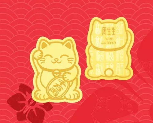 抖音最近流行的金猪年指的是哪一年属猪？