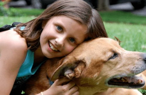 序章：那个刻在灵魂深处的代号