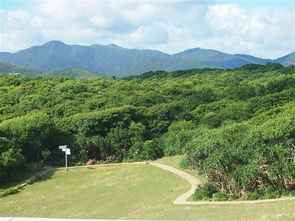 露营地的社交陷阱：你想独享的风景，其实是别人的K背景板