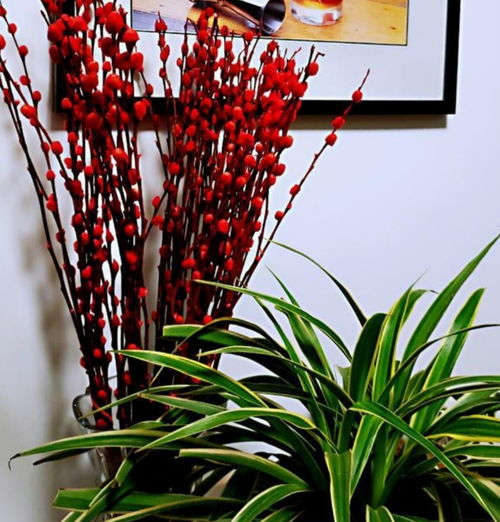 1．水分管理的双重要求