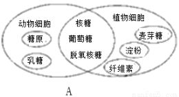 科学研究验证：结晶结构对能量储存作用于