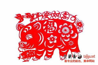 刘姓2026年猪年出生的宝宝，有没有好听的姓名推荐呢？