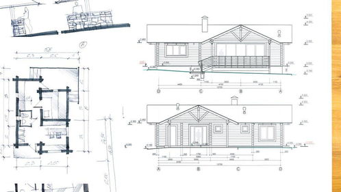 5. 植被配置与环境营造