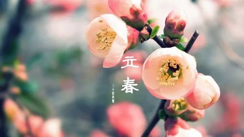 二、二十四节气中的立春：文化传承与农事指示功能