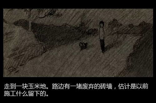 ：历史的阴影与现实的迷雾