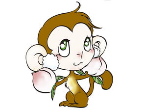 性格决定命运：根据猴子的特点来