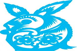 卯兔生肖：子卯相刑格局下的审慎之道