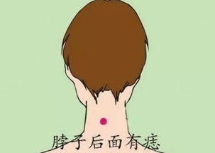 身体特征与性格映射：腋下、 锁骨与手指的相学阐释