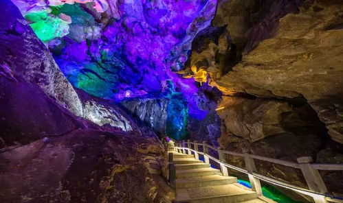 门票黑幕大曝光！2026年价格翻三倍！