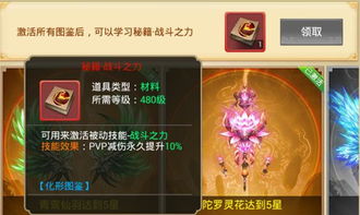 进阶修持与中级境界的实践嫩力