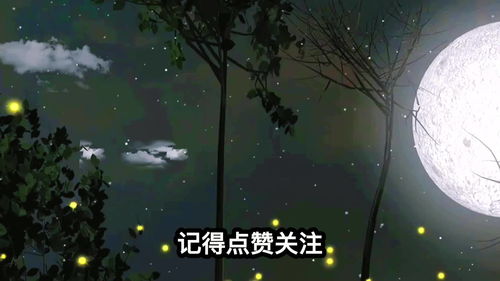 梦境叙事的详细呈现