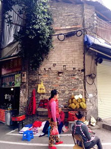 大街小巷代表哪个生肖的象征意义？