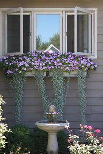 一、 耐阴类植被