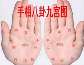 三、 断掌与手指形态对整体运势的作用于