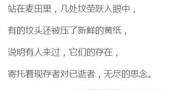 三、 生肖星座视角下的象征意义