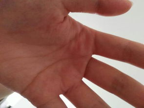 紫微斗数与八字排盘的阳阴对应