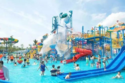 5. 必备物品：记好了！（生死攸关！）