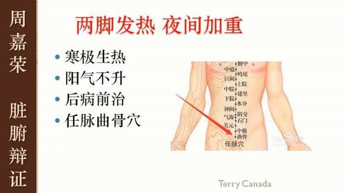 如何通过八字视频学习八字疗法？