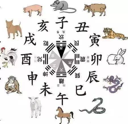 一、 龙姓文化底蕴渊源：厚沉重的底蕴