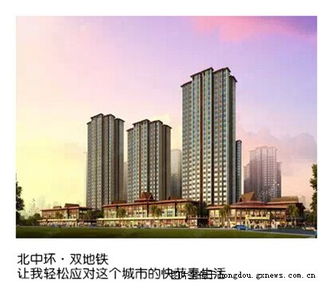 2.2 疾病聚集与公共卫生风险