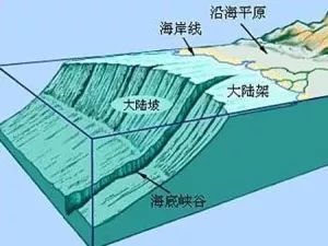 五、 地质检验原理与人体健康关联性探讨