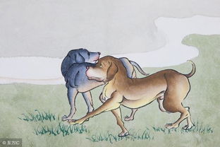 蛇精病...啊不是，生肖蛇的暴富指南