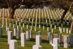 梦见坟头或坟墓预示着什么不祥或吉凶的征兆？